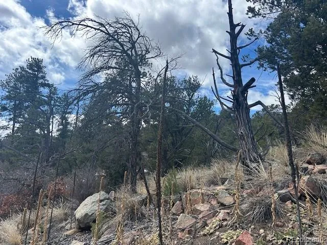 143 Ive Place Cotopaxi, CO 81223