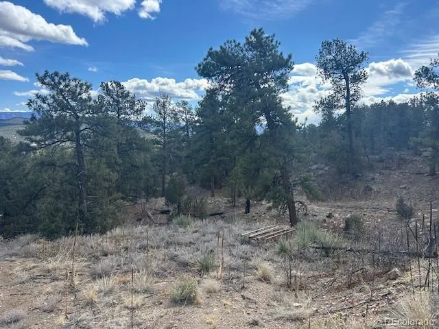 143 Ive Place Cotopaxi, CO 81223