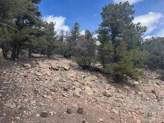 143 Ive Place Cotopaxi, CO 81223