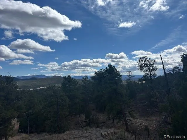 143 Ive Place Cotopaxi, CO 81223