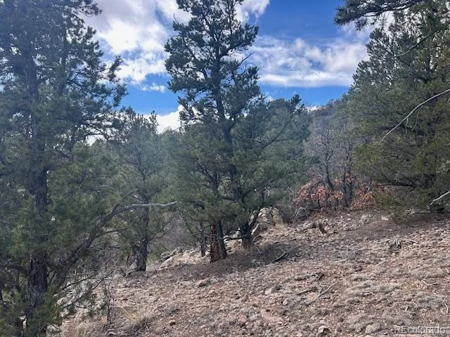 143 Ive Place Cotopaxi, CO 81223