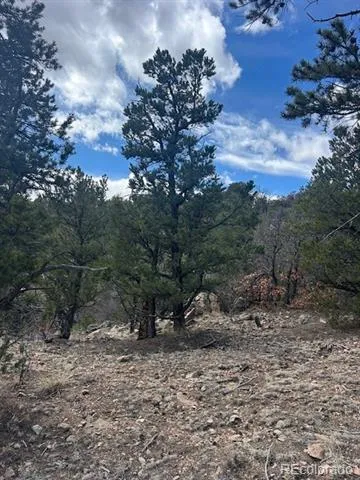 143 Ive Place Cotopaxi, CO 81223