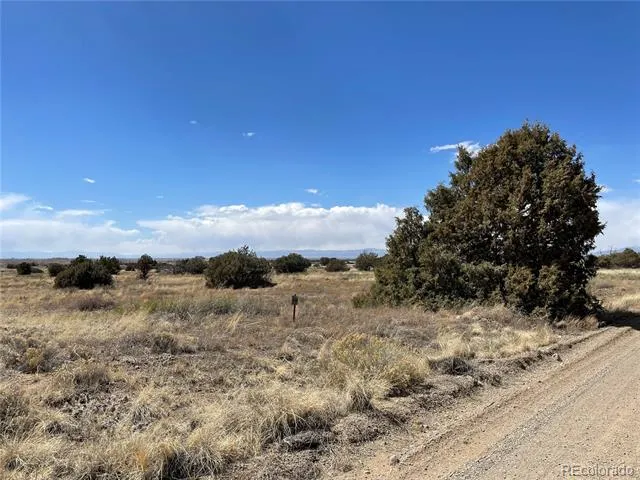 1307 Spanish Creek Road Crestone, CO 81131