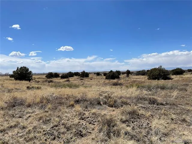 1307 Spanish Creek Road Crestone, CO 81131