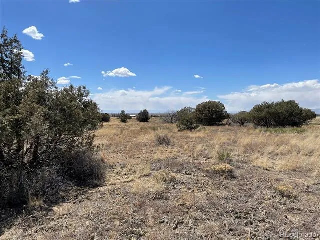 1307 Spanish Creek Road Crestone, CO 81131