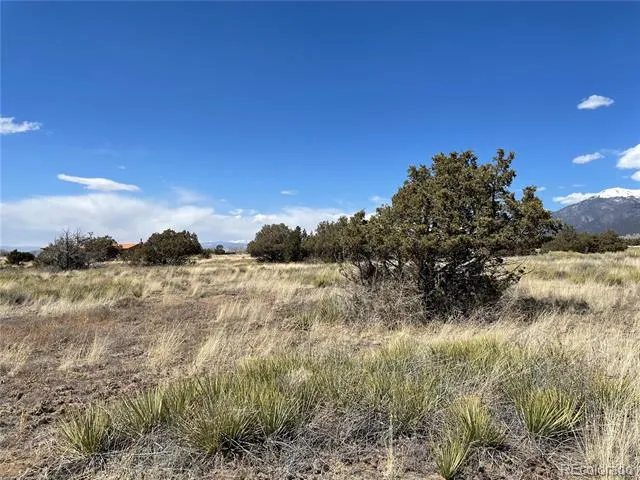 1307 Spanish Creek Road Crestone, CO 81131