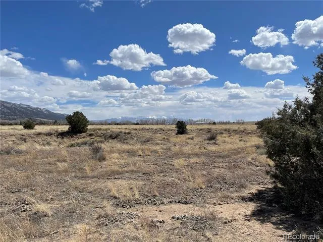 1307 Spanish Creek Road Crestone, CO 81131