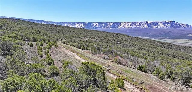 TBD Lot 4 TBD Mesa, CO 81643