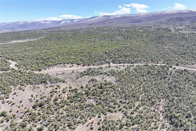TBD Lot 4 TBD Mesa, CO 81643