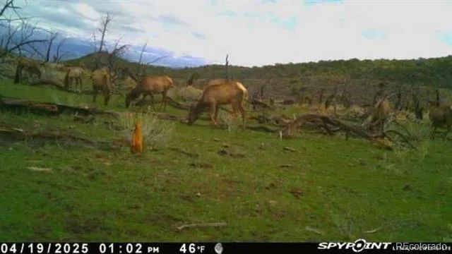 TBD Lot 4 TBD Mesa, CO 81643