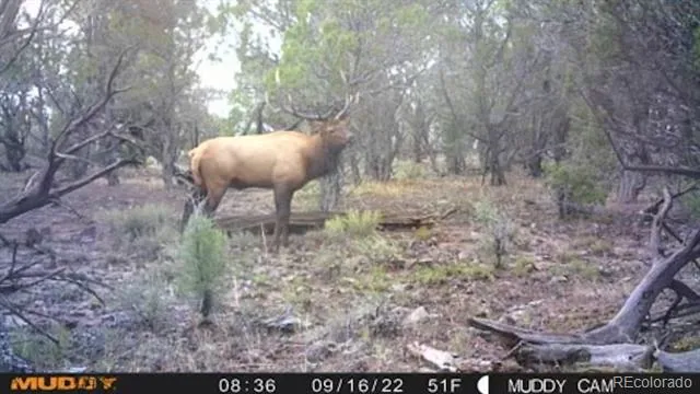 TBD Lot 4 TBD Mesa, CO 81643