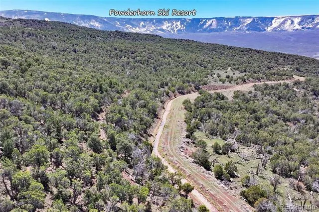 TBD Lot 4 TBD Mesa, CO 81643
