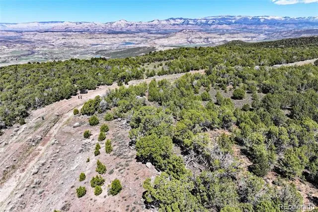 TBD Lot 4 TBD Mesa, CO 81643