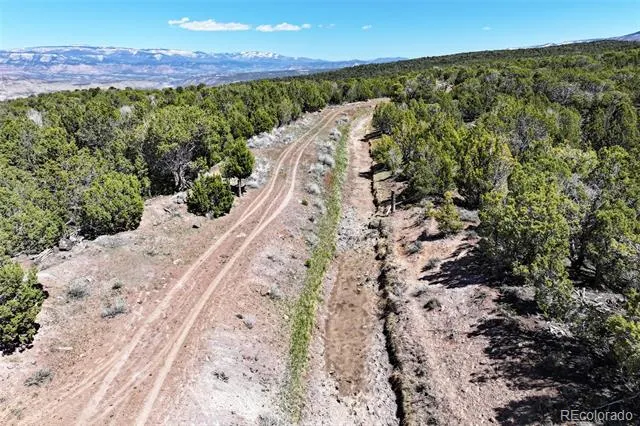 TBD Lot 4 TBD Mesa, CO 81643
