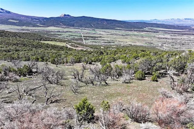 TBD Lot 4 TBD Mesa, CO 81643