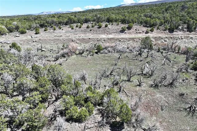 TBD Lot 4 TBD Mesa, CO 81643