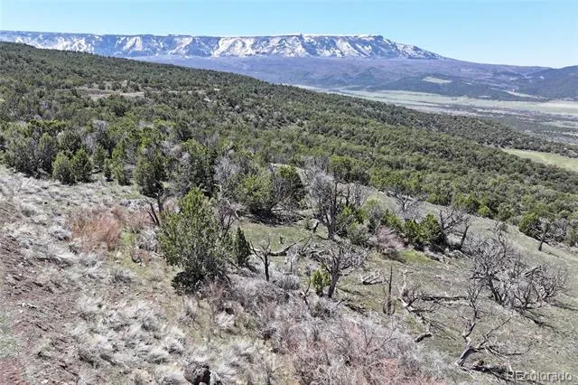 TBD Lot 4 TBD Mesa, CO 81643