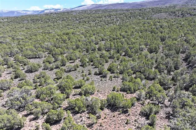 TBD Lot 4 TBD Mesa, CO 81643