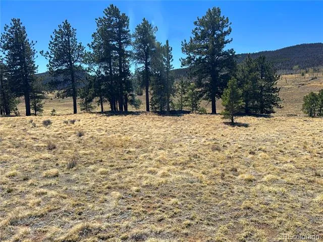Singletree Road Buena Vista, CO 81211
