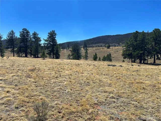 Singletree Road Buena Vista, CO 81211