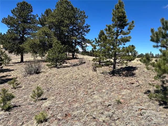 Singletree Road Buena Vista, CO 81211