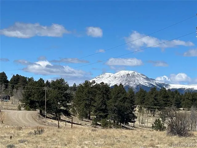 Singletree Road Buena Vista, CO 81211