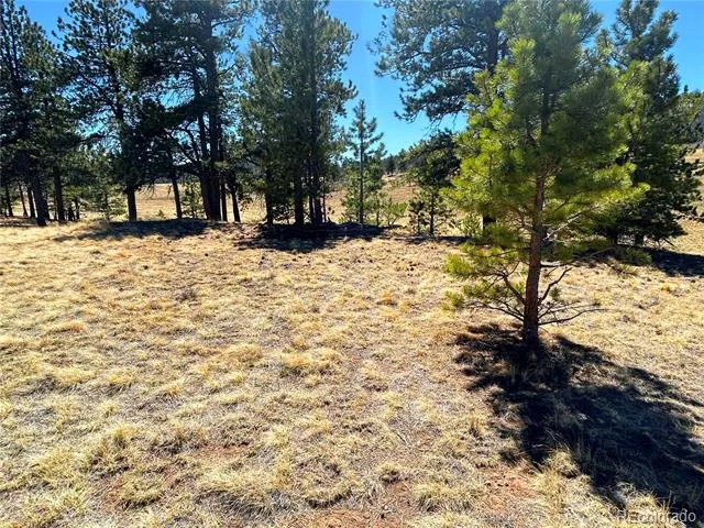 Singletree Road Buena Vista, CO 81211