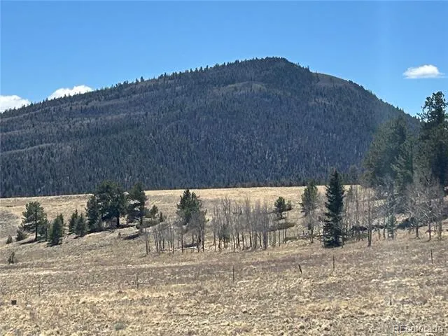 Singletree Road Buena Vista, CO 81211