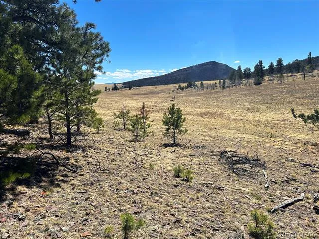 Singletree Road Buena Vista, CO 81211