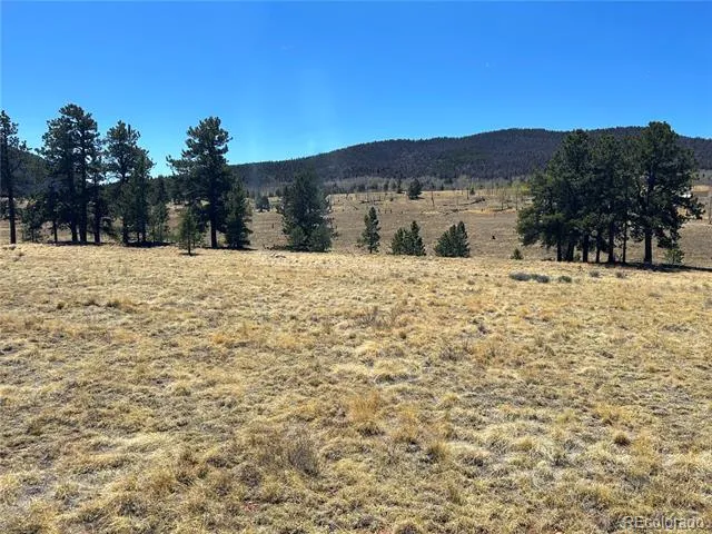 Singletree Road Buena Vista, CO 81211