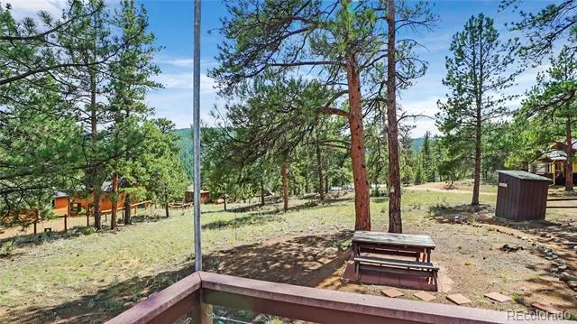 28488 Park Avenue Pine, CO 80470