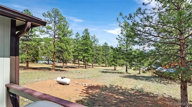 28488 Park Avenue Pine, CO 80470