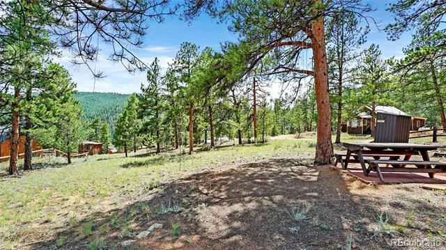 28488 Park Avenue Pine, CO 80470
