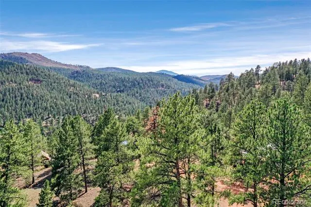 28488 Park Avenue Pine, CO 80470