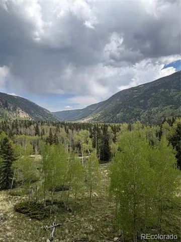1113 Spring Street Jasper, CO 81144
