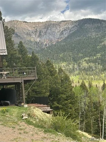 1113 Spring Street Jasper, CO 81144