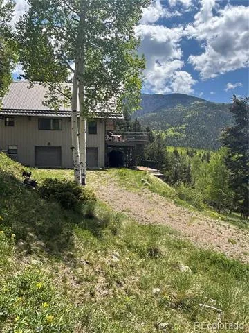 1113 Spring Street Jasper, CO 81144