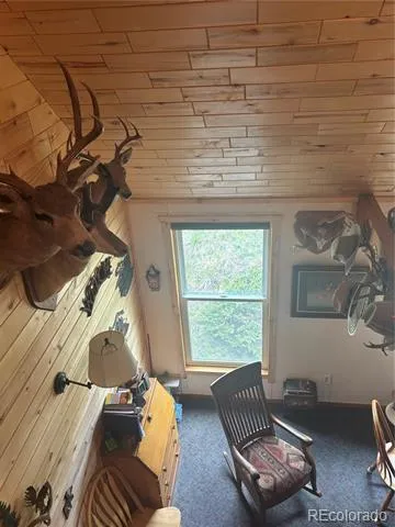 1113 Spring Street Jasper, CO 81144