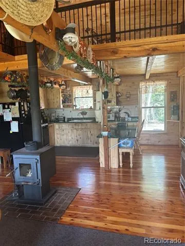 1113 Spring Street Jasper, CO 81144