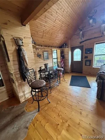 1113 Spring Street Jasper, CO 81144