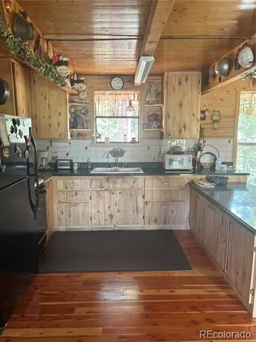 1113 Spring Street Jasper, CO 81144