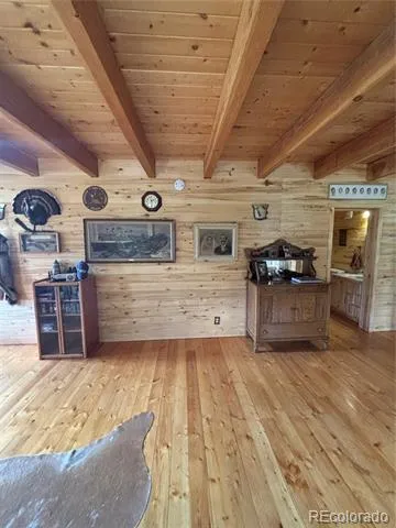1113 Spring Street Jasper, CO 81144