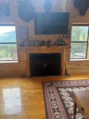 1113 Spring Street Jasper, CO 81144