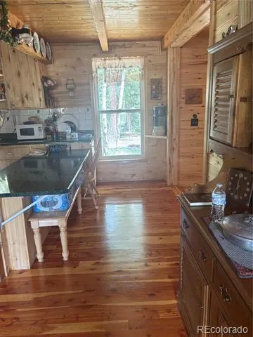 1113 Spring Street Jasper, CO 81144