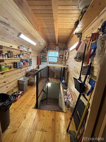 1113 Spring Street Jasper, CO 81144