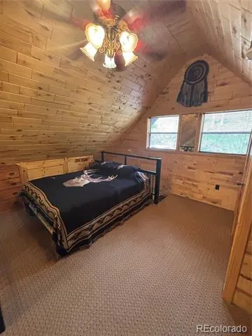 1113 Spring Street Jasper, CO 81144