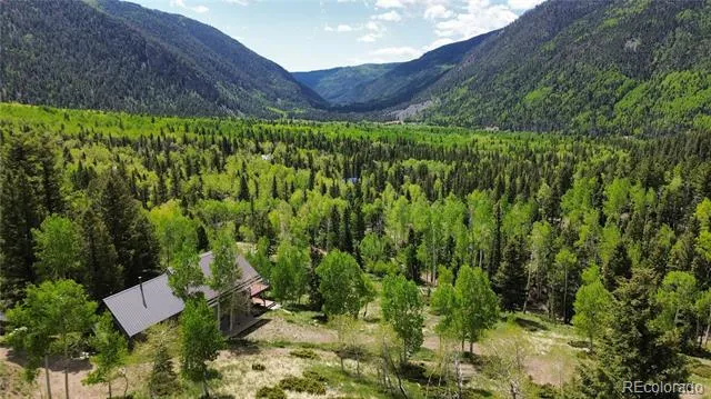 1113 Spring Street Jasper, CO 81144