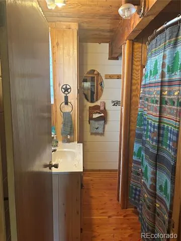 1113 Spring Street Jasper, CO 81144