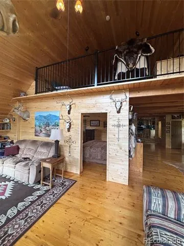 1113 Spring Street Jasper, CO 81144