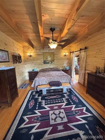 1113 Spring Street Jasper, CO 81144